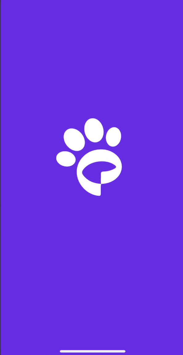 Hey Buddy - Pet Tags